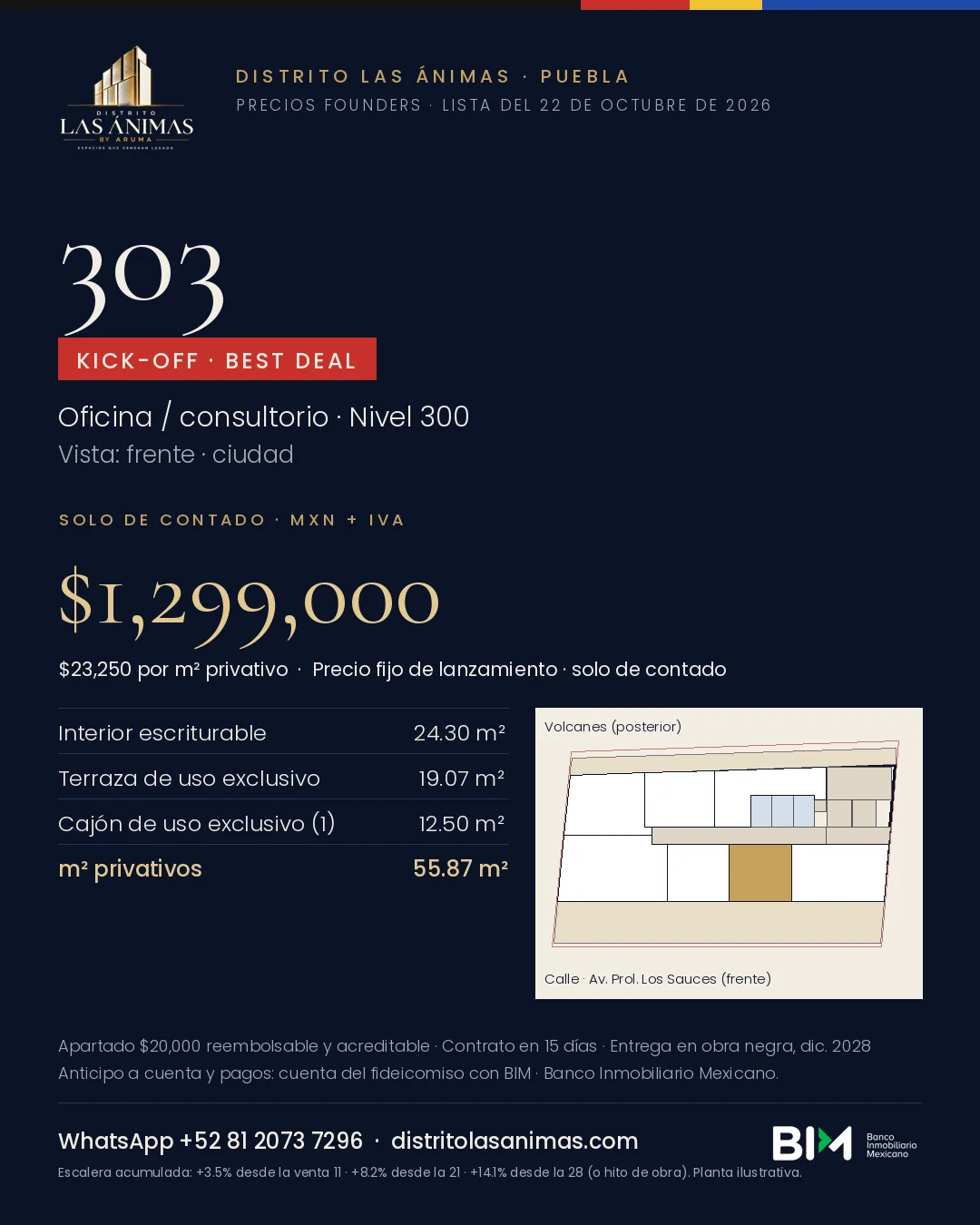 Ficha 303