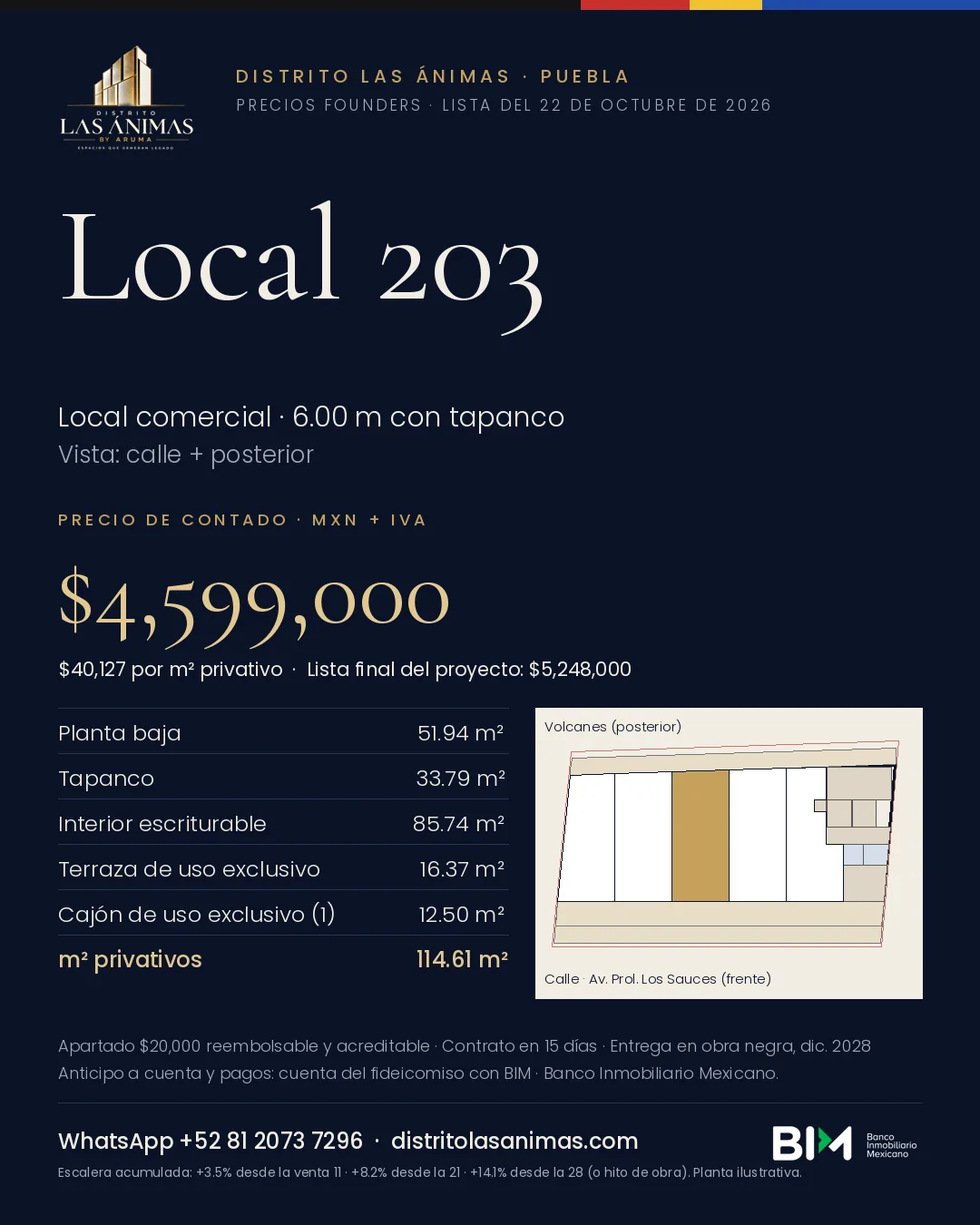 Ficha Local 203